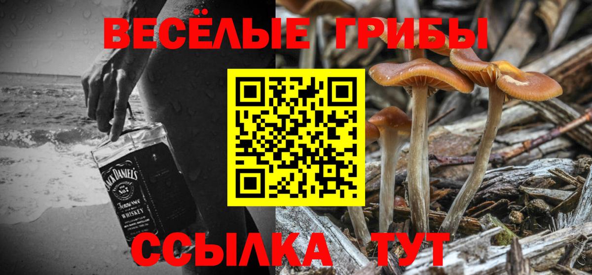 Галлюциногенные грибы GOLDEN TEACHER Камень-на-Оби