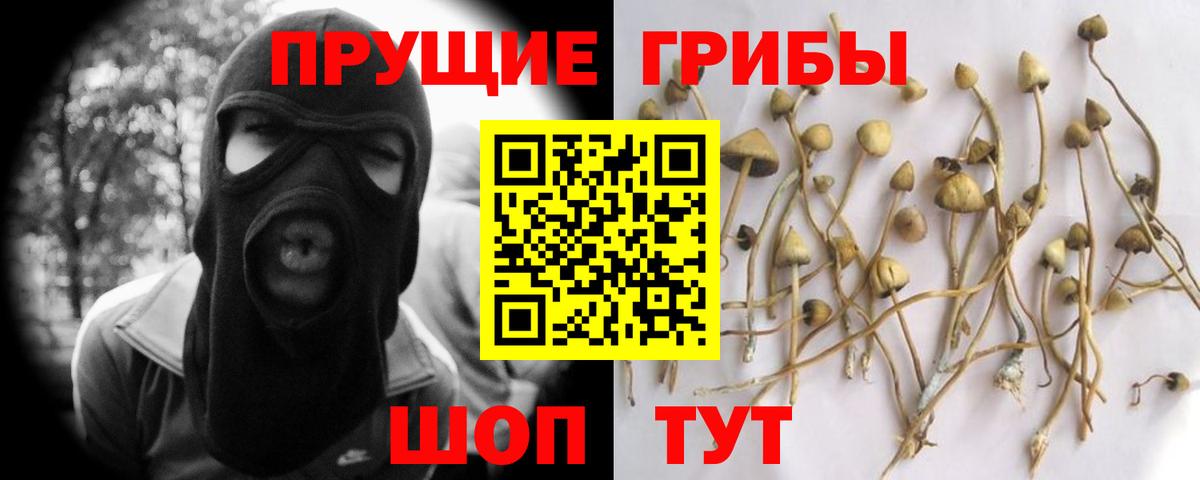 где купить наркотик  Галлюциногенные грибы Psilocybine cubensis  Камень-на-Оби  Вход с VPN  Псилоцибиновые грибы Psilocybine cubensis 